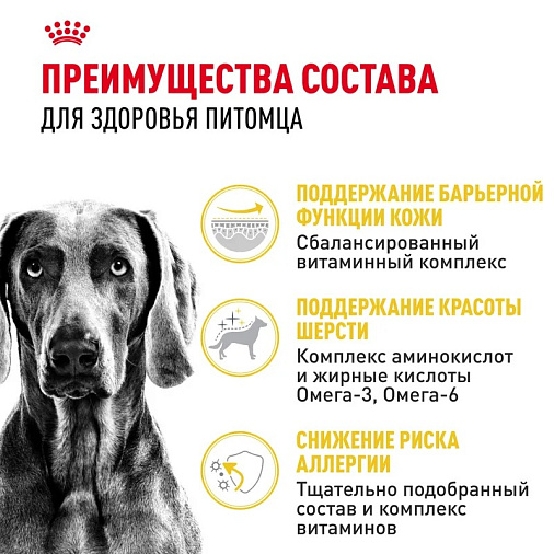 Royal Canin Maxi Dermacomfort Корм сухой для взрослых собак крупных размеров при раздражениях и зуде кожи