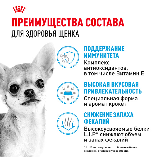 Royal Canin Chihuahua Puppy Корм сухой для щенков породы Чихуахуа до 8 месяцев