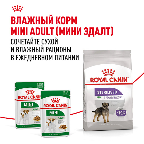 Royal Canin Mini Sterilised Корм сухой для взрослых стерилизованных собак мелких размеров, склонных к набору веса