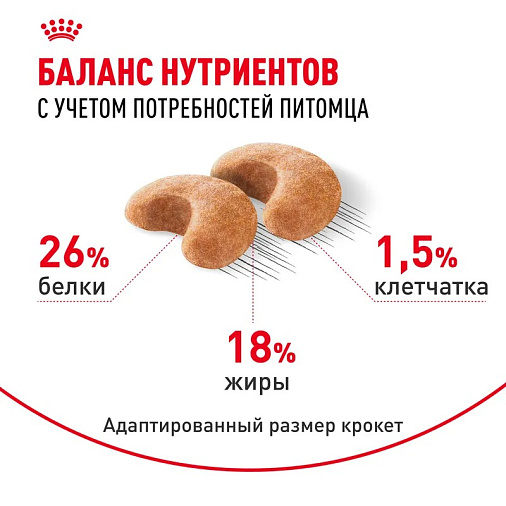 Royal Canin French Bulldog Adult Корм сухой для взрослых собак породы Французский Бульдог от 12 месяцев