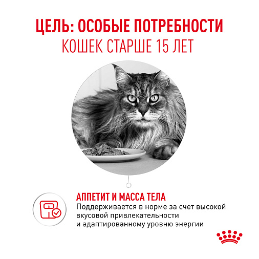 Royal Canin Ageing 15+ Корм влажный для очень пожилых кошек старше 15 лет, кусочки в соусе