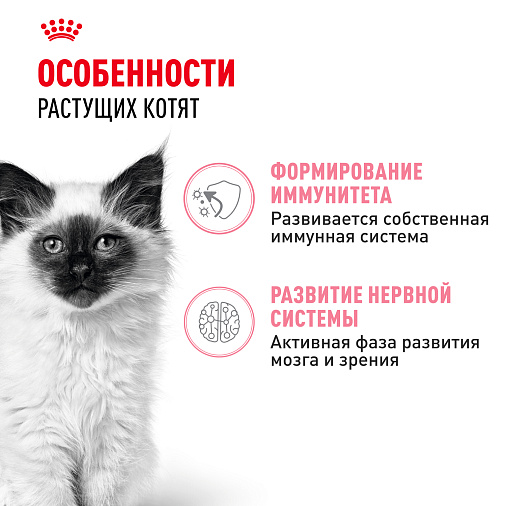 Royal Canin Kitten Gravy Корм консервированный полнорационный для кошек - Специально для котят в период второй фазы роста в возрасте до 12 месяцев, кусочки в соусе