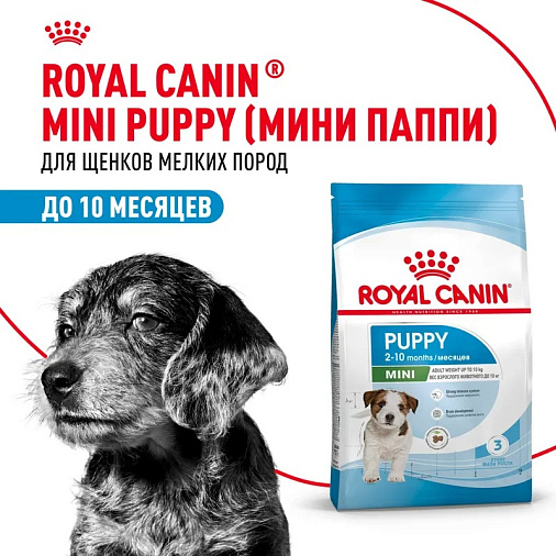 Royal Canin Mini Puppy Корм сухой для щенков мелких пород в возрасте до 10 месяцев
