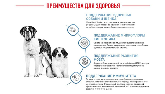 Royal Canin Giant Starter Корм сухой для щенков очень крупных размеров до 2 месяцев, беременных и кормящих сук