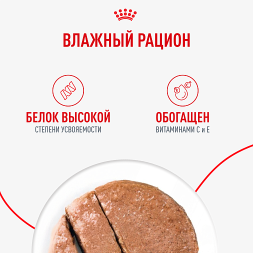 Royal Canin Medium Adult Влажный корм для взрослых собак средних размеров от 12 месяцев