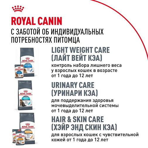 Royal Canin Maine Coon Adult Корм сухой сбалансированный для взрослых кошек породы Мэйн Кун