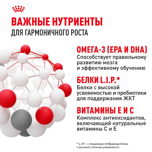 Royal Canin Maxi Puppy Корм сухой для щенков крупных размеров в возрасте до 15 месяцев