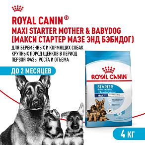 Royal Canin Maxi Starter Корм сухой для щенков крупных размеров до 2-х месяцев, беременных и кормящих сук