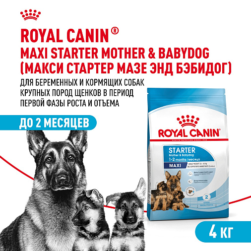 Royal Canin Maxi Starter Корм сухой для щенков крупных размеров до 2-х месяцев, беременных и кормящих сук