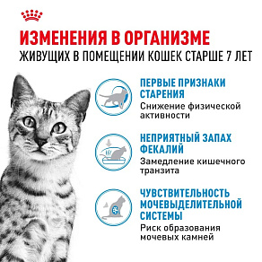 Royal Canin Indoor 7+ Корм сухой полнорационный сбалансированный для стареющих кошек (в возрасте от 7 до 12 лет), живущих в помещении