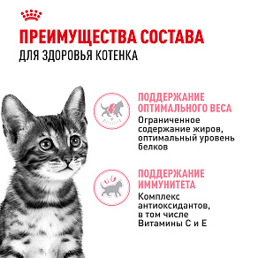 Royal Canin KITTEN STERILISED Корм консервированный полнорационный для кошек - Специально для кастрированных и стерилизованных котят (в возрасте от 6 до 12 месяцев), мелкие кусочки в желе