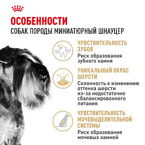 Royal Canin Miniature Schnauzer Adult Корм сухой для взрослых собак породы Миниатюрный Шнауцер от 10 месяцев