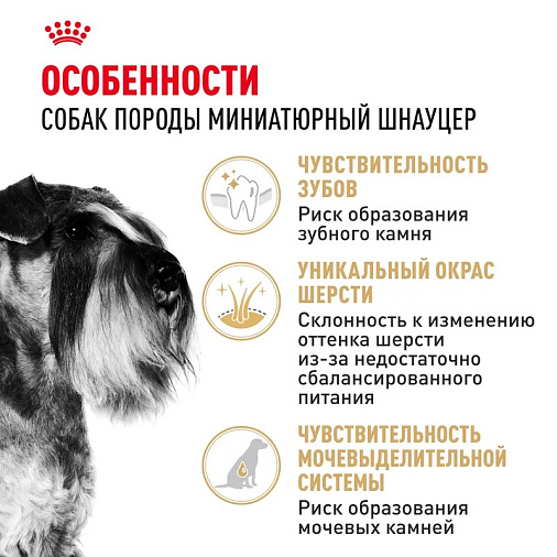 Royal Canin Miniature Schnauzer Adult Корм сухой для взрослых собак породы Миниатюрный Шнауцер от 10 месяцев