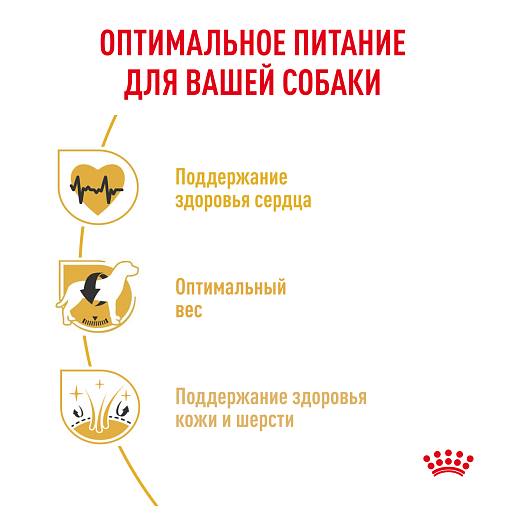 Royal Canin Cavalier King Charles Adult Корм сухой полнорационный для собак - Специально для взрослых и стареющих собак породы Кавалер кинг чарльз спаниель в возрасте 10 месяцев и старше
