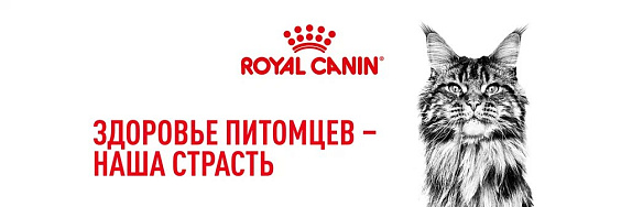 Royal Canin Maine Coon Adult Корм сухой сбалансированный для взрослых кошек породы Мэйн Кун