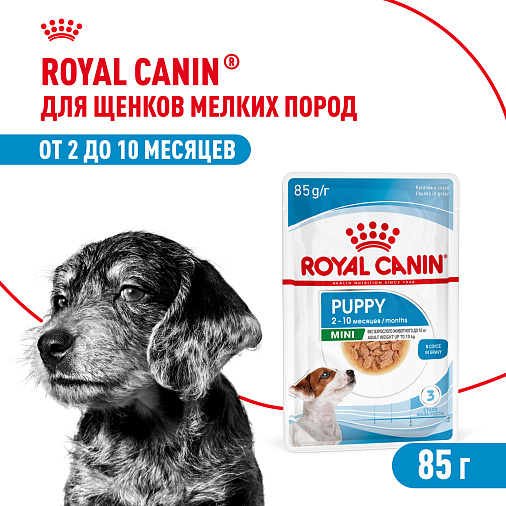 Royal Canin Корм для щенков мелких пород (Mini Puppy), кусочки в соусе
