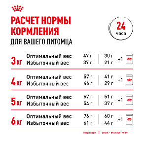 Royal Canin Sterilised Корм консервированный для взрослых кошек в желе