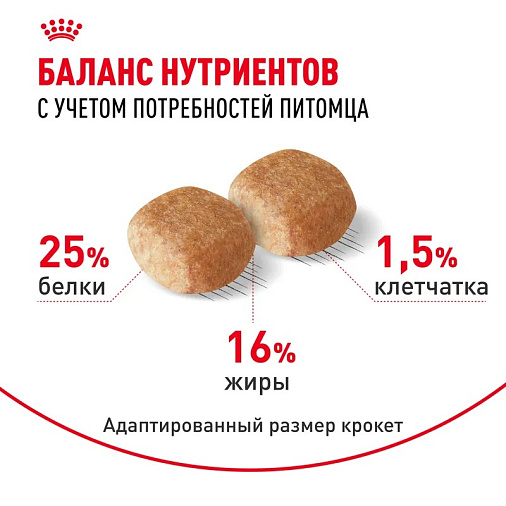 Royal Canin Miniature Schnauzer Adult Корм сухой для взрослых собак породы Миниатюрный Шнауцер от 10 месяцев