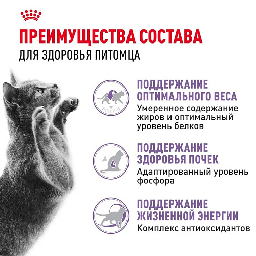Royal Canin Sterilised 7+ Корм сухой полнорационный сбалансированный для стерилизованных кошек в возрасте от 7 до 12 лет