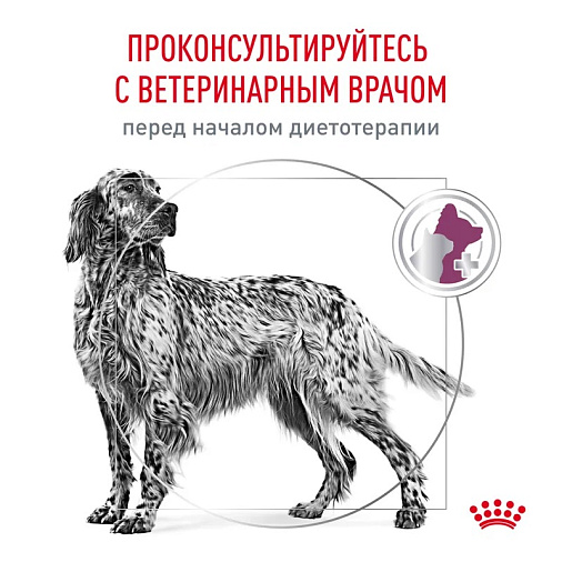 Royal Canin Renal (Ренал) Корм сухой для взрослых собак для поддержания функции почек