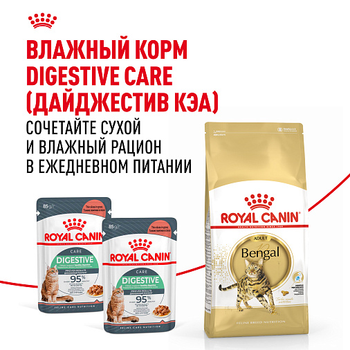 Royal Canin BENGAL ADULT Корм сухой полнорационный сбалансированный для кошек – Специально для взрослых бенгальских кошек старше 12 месяцев