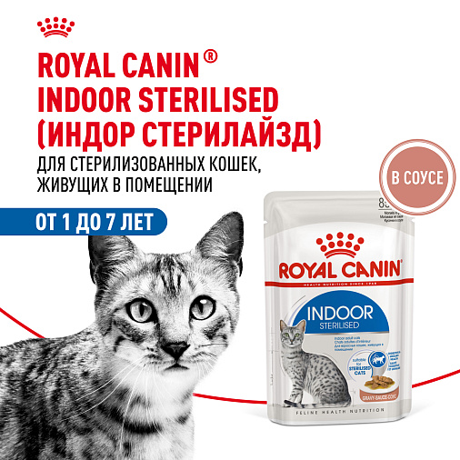Royal Canin INDOOR STERILISED Корм консервированный полнорационный для взрослых кастрированных и стерилизованных кошек, живущих в помещении (кусочки в соусе)