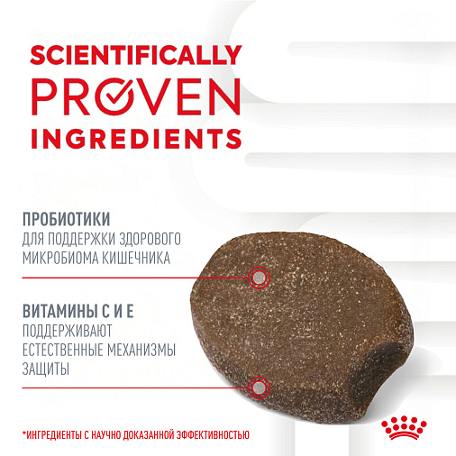 Royal Canin Immunity&Digestion Chews лакомство для щенков, дополнительное питание для иммунитета и пищеварения