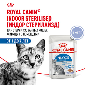 Royal Canin Indoor Sterilised (в желе) Корм консервированный полнорационный для взрослых кошек (в возрасте от 1 года до 7 лет), постоянно живущих в помещении