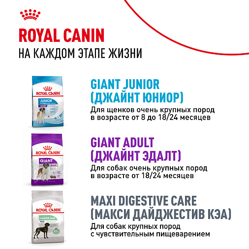 Royal Canin Giant Puppy Корм сухой для щенков очень крупных размеров до 8 месяцев