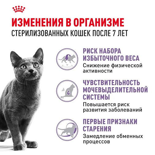 Royal Canin Sterilised 7+ Корм сухой полнорационный сбалансированный для стерилизованных кошек в возрасте от 7 до 12 лет