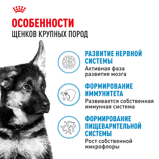 Royal Canin Maxi Puppy Корм сухой для щенков крупных размеров в возрасте до 15 месяцев
