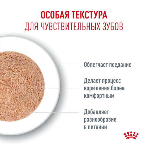 Royal Canin Ageing 15+ AirLift™ Корм консервированный полнорационный для кошек старше 15 лет (мусс AirLift™)