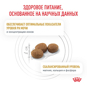 Royal Canin Urinary s/o (уринари с/о) Корм сухой для кошек при мочекаменной болезни