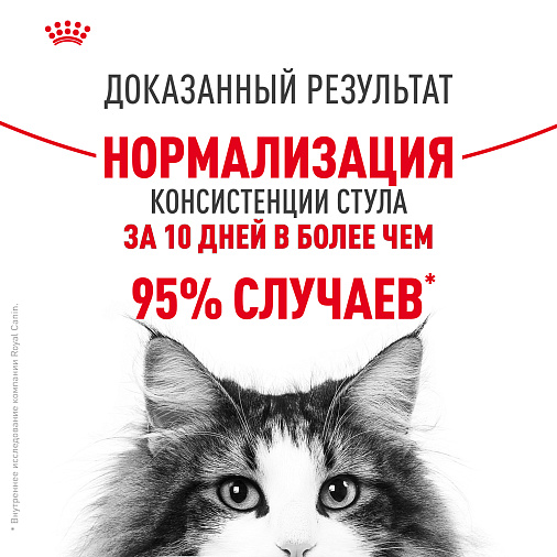 Royal Canin Digestive Care Корм консервированный полнорационный для взрослых кошек с чувствительным пищеварением, тонкие ломтики в соусе
