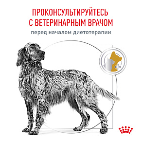 Royal Canin Urinary S/O (Уринари С/О) Корм сухой для взрослых собак при мочекаменной болезни