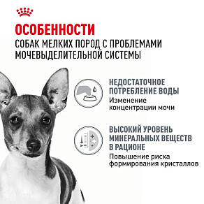 Royal Canin Mini Urinary Care Корм сухой для собак мелких размеров с чувствительной мочевыделительной системой