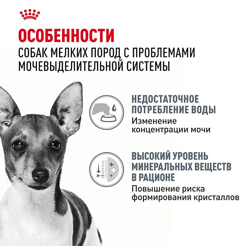 Royal Canin Mini Urinary Care Корм сухой для собак мелких размеров с чувствительной мочевыделительной системой
