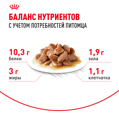 Royal Canin INDOOR STERILISED 7+ Корм консервированный полнорационный для кошек (в возрасте от 7 до 12 лет), живущих в помещении (мелкие кусочки в соусе)