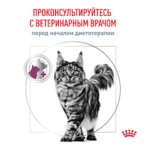 Royal Canin Renal (Ренал) Корм сухой для взрослых кошек для поддержания функции почек