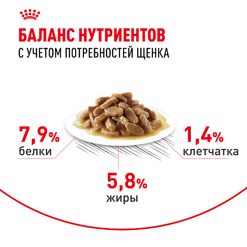 Royal Canin Корм для щенков мелких пород (Mini Puppy), кусочки в соусе