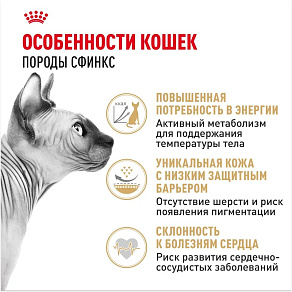 Royal Canin Sphynx Adult Корм сухой сбалансированный для взрослых кошек породы Сфинкс от 12 месяцев