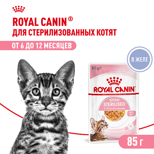 Royal Canin Корм для котят в возрасте до 12 месяцев (Kitten Sterilised), в желе