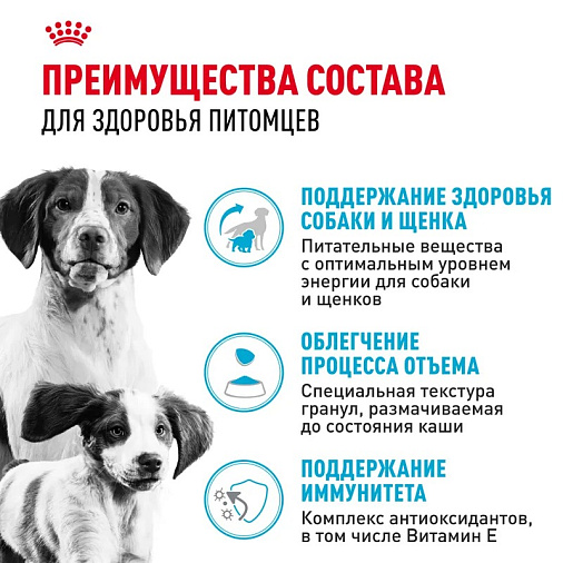 Royal Canin Medium Starter Mother&Babydog Корм сухой полнорационный для щенков средних размеров в период отъема и до 2х месяцев, беременных и кормящих сук