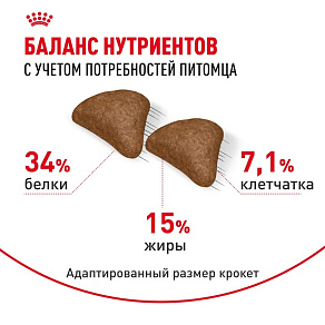 Royal Canin Hairball Care Корм сухой для взрослых кошек для профилактики образования волосяных комочков