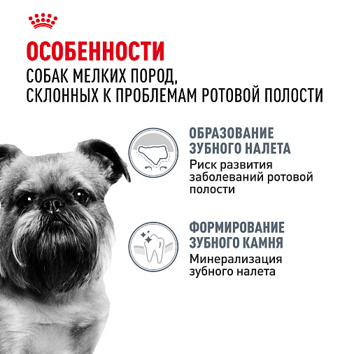 Royal Canin Mini Dental Care Корм сухой для собак мелких размеров, предрасположенных к образованию зубного камня