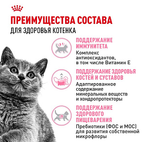 Royal Canin British Shorthair Kitten Корм сухой сбалансированный для британских короткошерстных котят