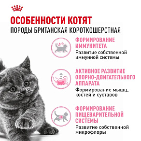 Royal Canin British Shorthair Kitten Корм сухой сбалансированный для британских короткошерстных котят