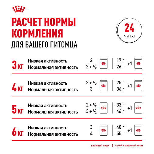 Royal Canin INDOOR STERILISED 7+ Корм консервированный полнорационный для кошек (в возрасте от 7 до 12 лет), живущих в помещении (мелкие кусочки в соусе)