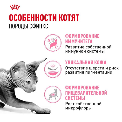 Royal Canin Sphynx Kitten Корм сухой сбалансированный для котят породы Сфинкс до 12 месяцев