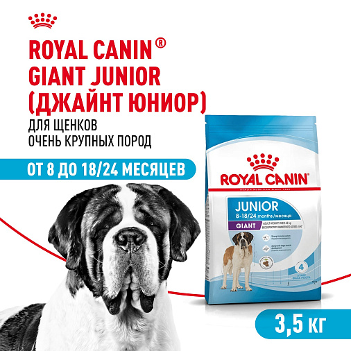 Royal Canin Giant Junior Корм сухой  для щенков очень крупных пород  в возрасте от 8 до 18/24 месяцев